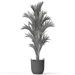 Plants collection 783