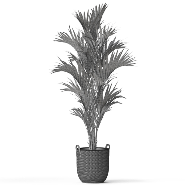 Plants collection 783
