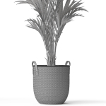 Plants collection 783