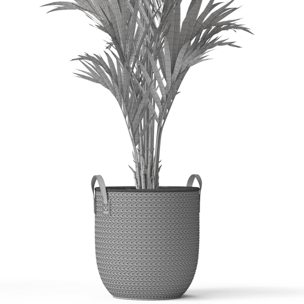 Plants collection 783