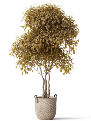 plants-collection-786-3d-model-max-obj-fbx-c4d-blend