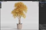Plants collection 786