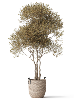 plants-collection-787-3d-model-max-obj-fbx-c4d-blend