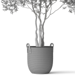 Plants collection 787