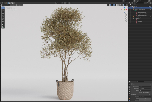 Plants collection 787