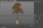 Plants collection 787