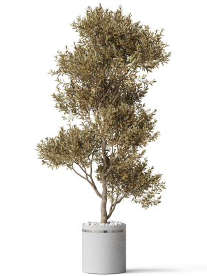 plants-collection-788-3d-model-max-obj-fbx-c4d-blend