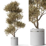 Plants collection 788