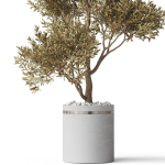 Plants collection 788