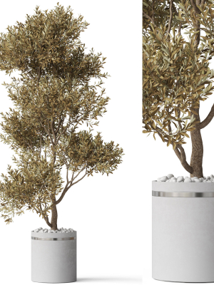 Plants collection 788