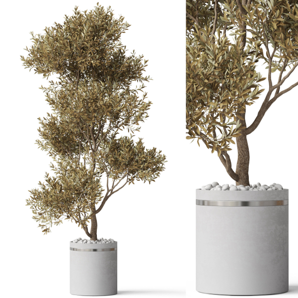 Plants collection 788