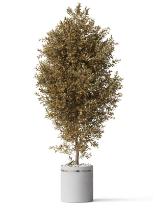 plants-collection-789-3d-model-max-obj-fbx-c4d-blend