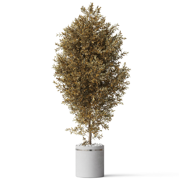 Plants collection 789