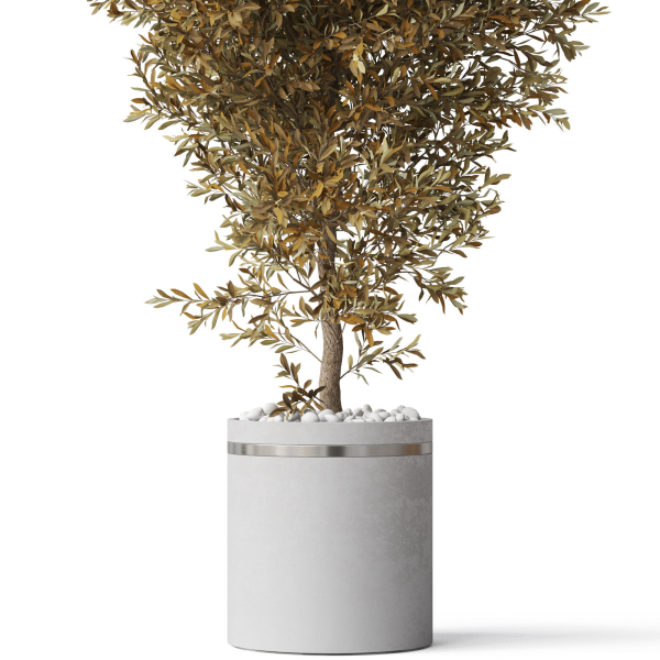 Plants collection 789