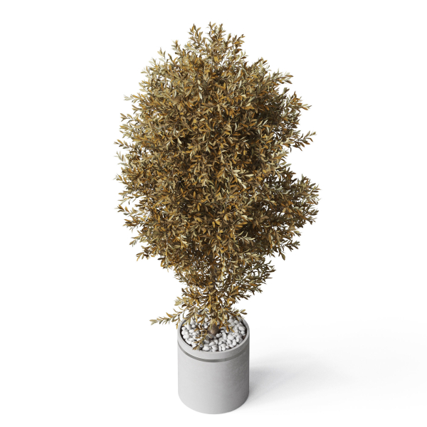 Plants collection 789