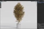 Plants collection 789