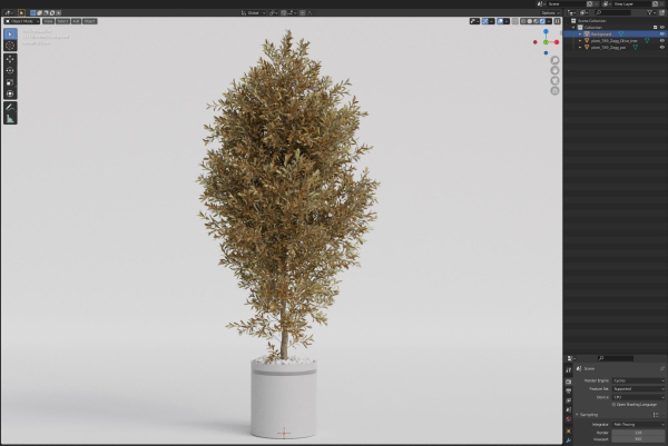 Plants collection 789