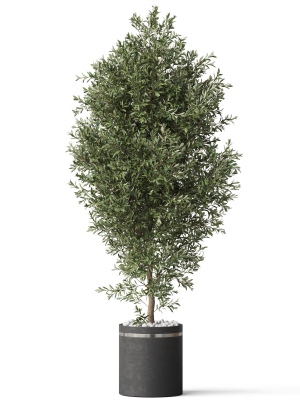 plants-collection-790-3d-model-max-obj-fbx-c4d-blend