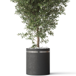 Plants collection 790