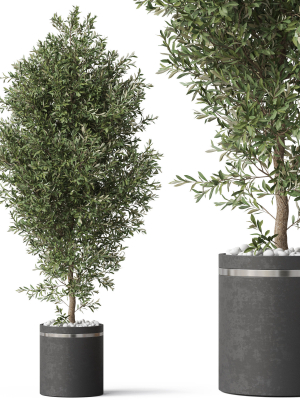 Plants collection 790