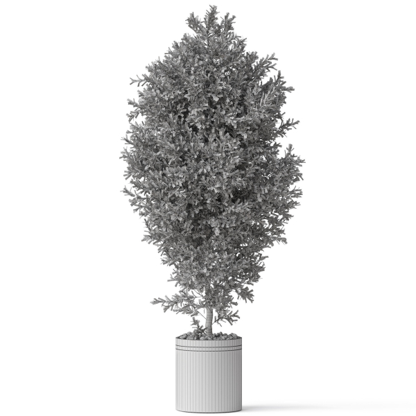 Plants collection 790