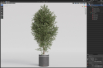 Plants collection 790