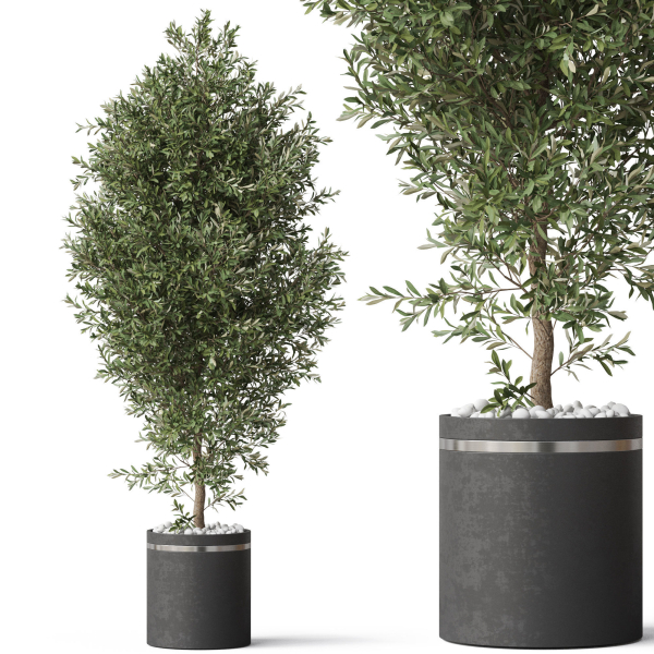Plants collection 790