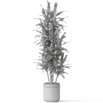 Plants collection 792