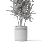 Plants collection 792