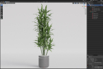 Plants collection 792