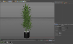 Plants collection 792