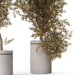 Plants collection 793