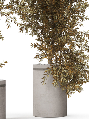 plants-collection-793-3d-model-max-obj-fbx-c4d-blend