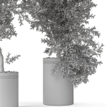 Plants collection 793