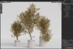 Plants collection 793