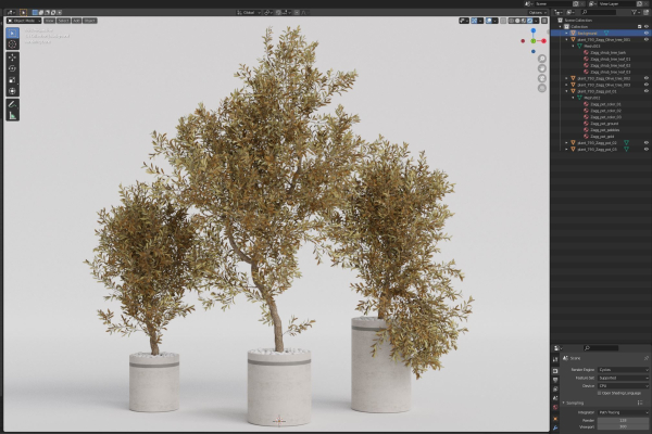 Plants collection 793