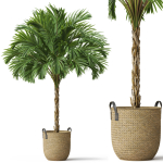 Plants collection 797