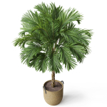 Plants collection 797