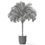 Plants collection 797