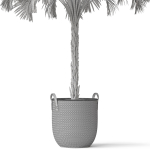 Plants collection 797