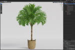 Plants collection 797