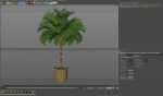 Plants collection 797