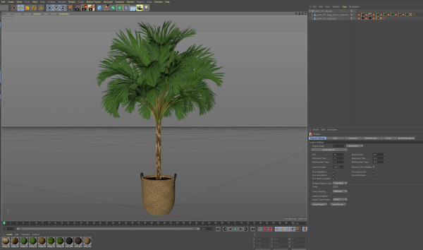 Plants collection 797