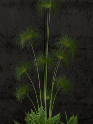 plants-collection-80-3d-model-max-obj-fbx-c4d
