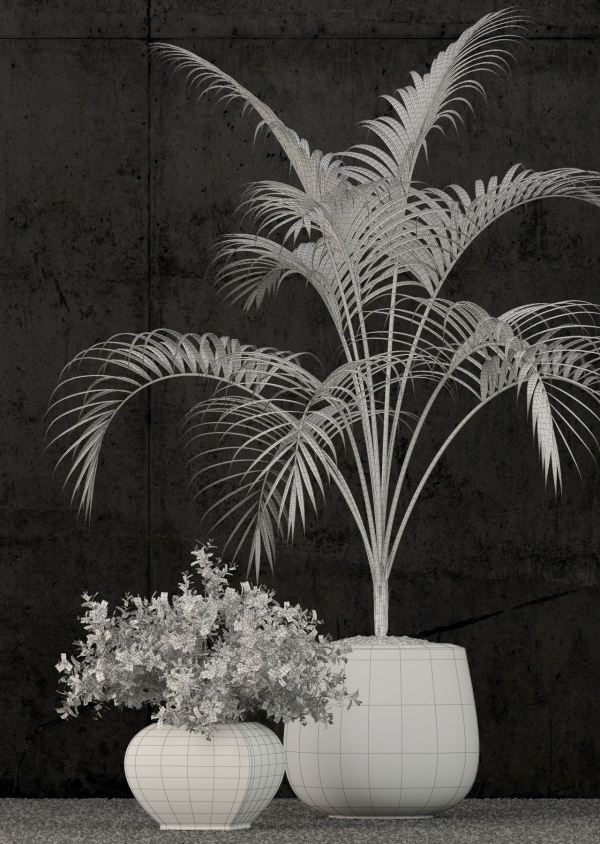 Plants collection 80