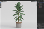 Plants collection 801