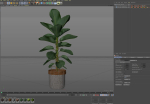 Plants collection 801