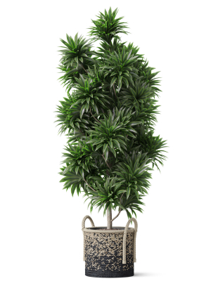 plants-collection-803-3d-model-max-obj-fbx-c4d-blend