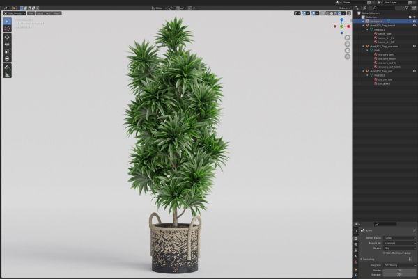 Plants collection 803