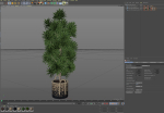 Plants collection 803